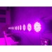 LED "Par 54 Full Color 4in1 (Red Green Blue +Warmwhite)"